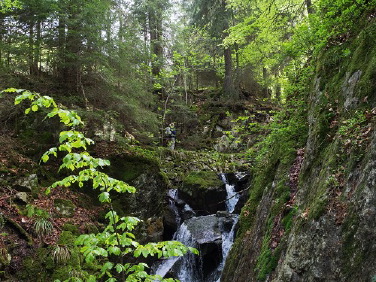 Feldberg